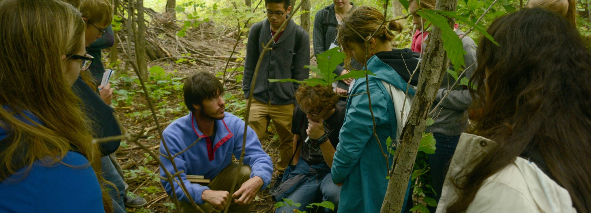 A group of people are taught the basics of foraging