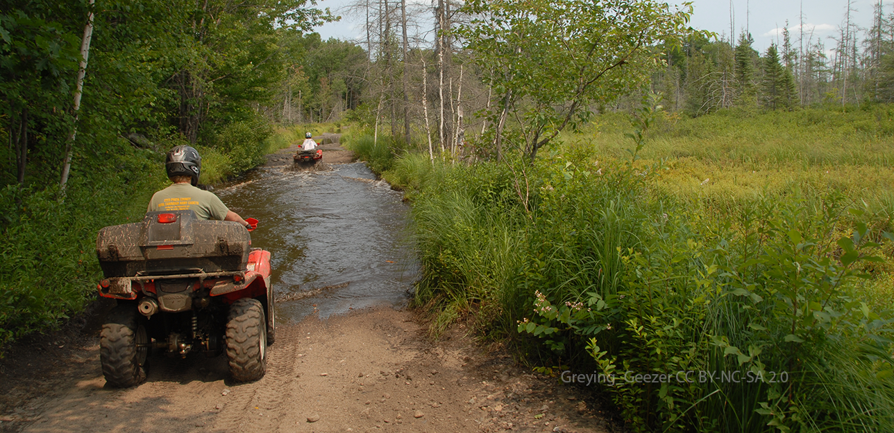 ATVs driving through wetland via trail