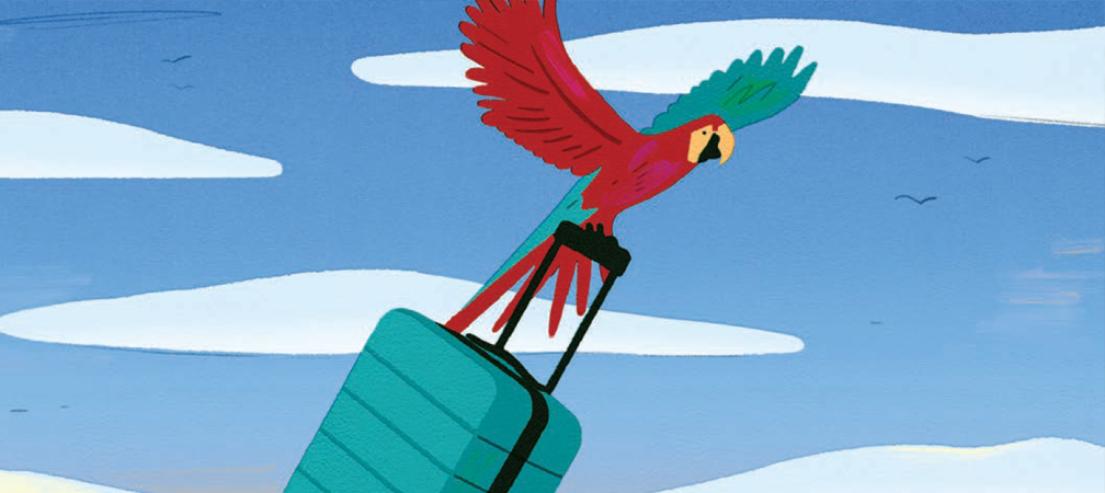 An illustration shows a parrot flying with a suitcase