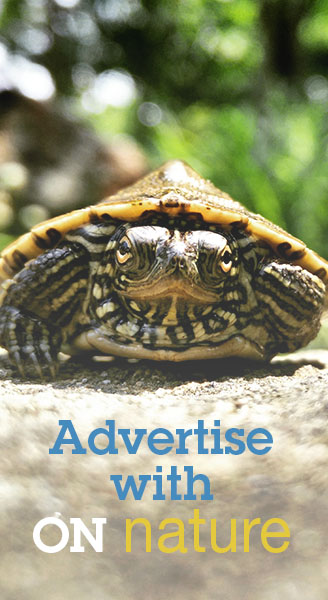 Advertise with ON Nature magazine (print or digital)