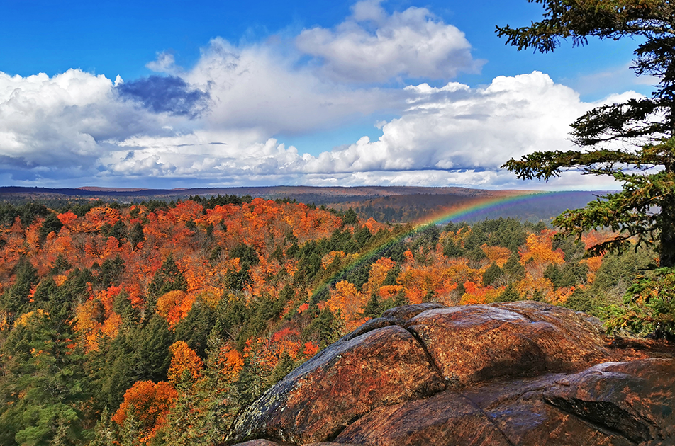Algonquin lookout with rainbow and autumn forest