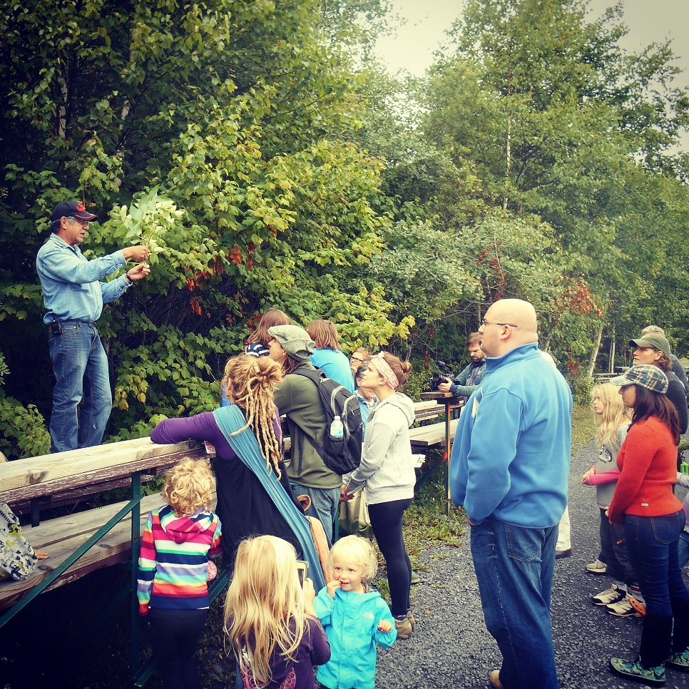 A group learns about mountain ash leaves