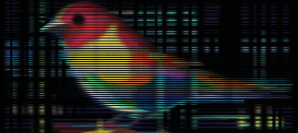 Belonging as a Blind Birder, By Christine Malec, ON Nature magazine, Spring 2026, https://catalog.ontarionature.org/spring-2026/page/38-39