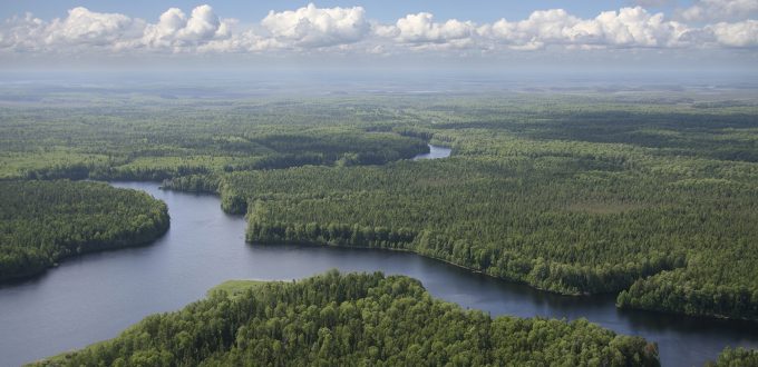 Boreal forest plain, lakes, river, aerial, forest, northern