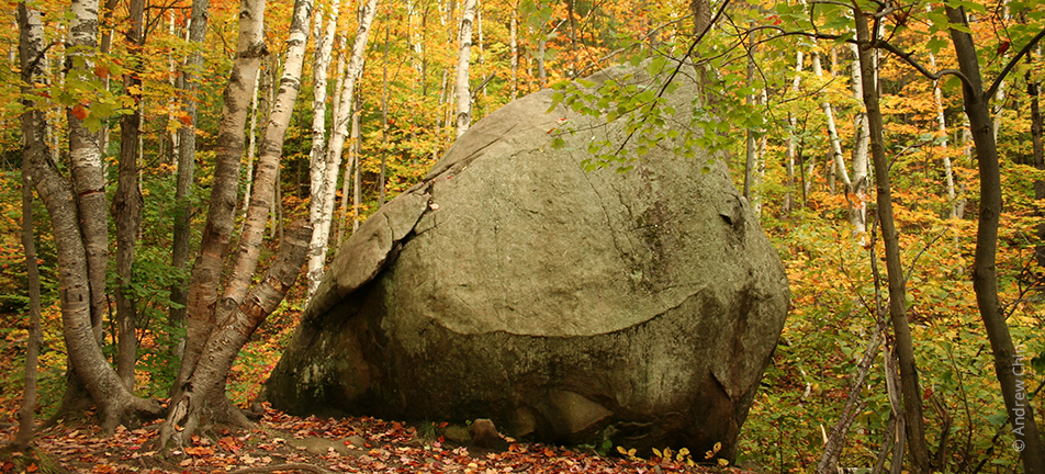 large boulder in an autumnal forest