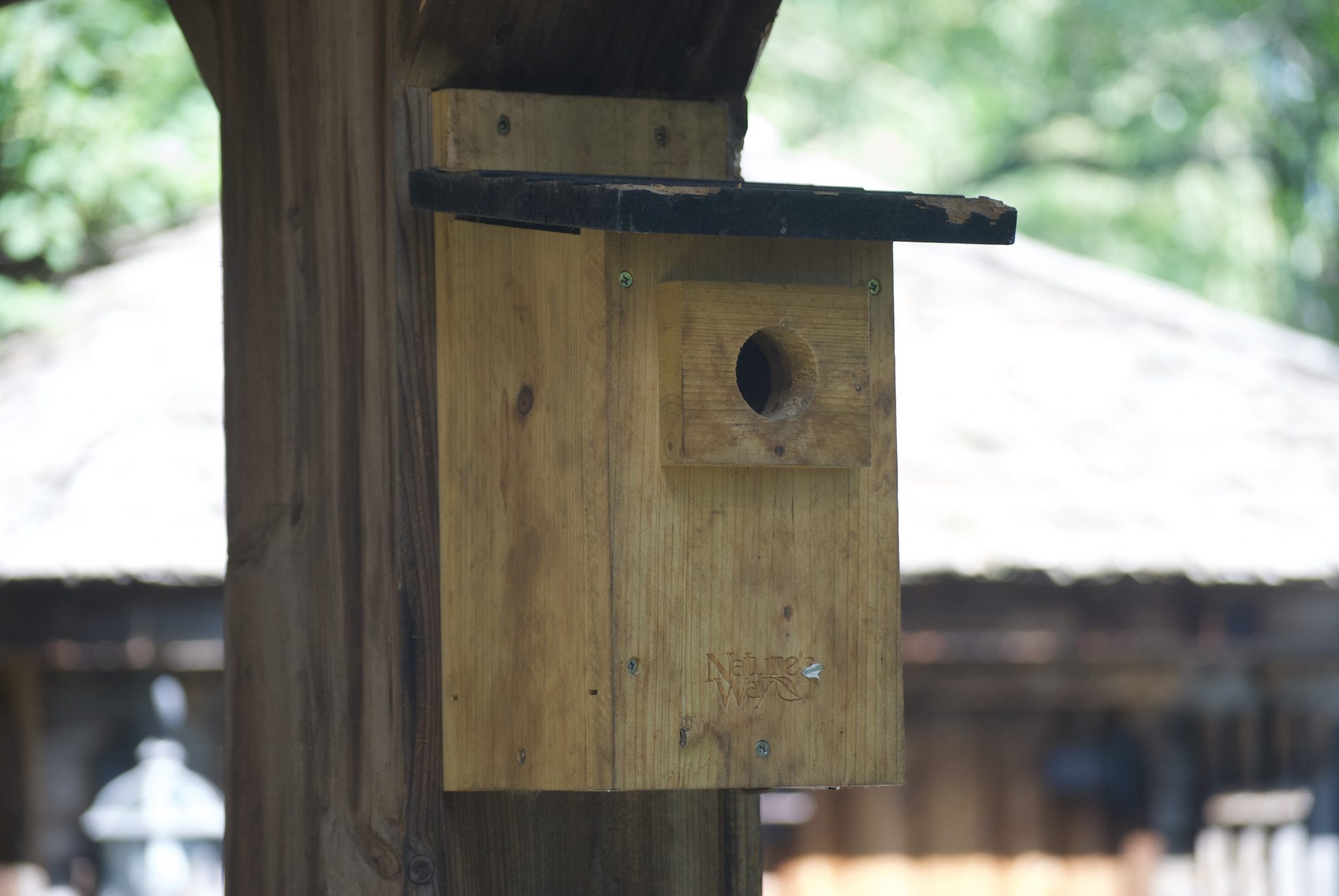 A birdhouse nailed to a support beam.