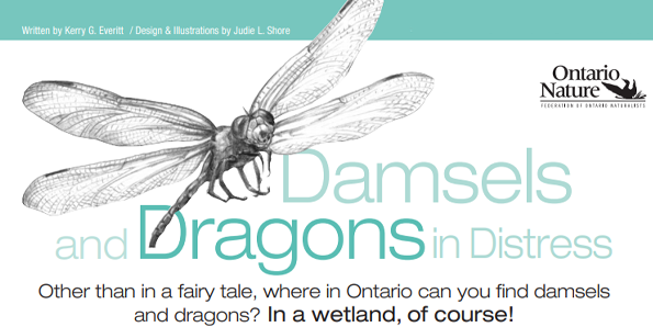 Dragons and Damselflies Nature Notes Cover