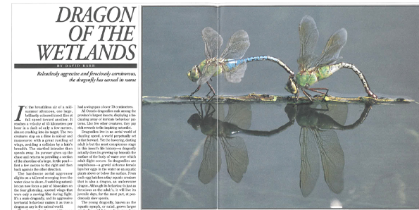 Dragonflies cover ON Nature magazine