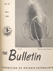 ON Autumn 1955 cover