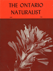 ON June 1966 cover