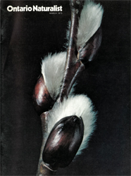 ON March 1975 cover