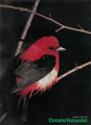 ON March 1976 cover