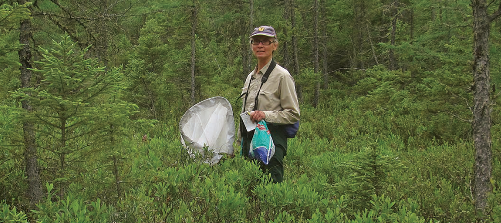 Thunder Bay Field Naturalists have helped to protect more than 4856 hectares of land including a portion of William Bog near Thunder Bay