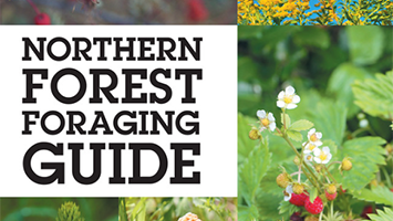 Northern Forest Foraging Guide resource