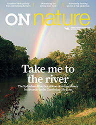 ON Nature Spring 2016 cover Sydenham rainbow