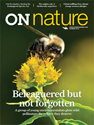ON Nature Summer 2015 cover; a bumble bee photographed on goldenrod