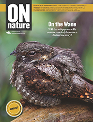 ON Nature Magazine Summer 2019 cover