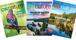 ON Nature magazine 2018 covers spread