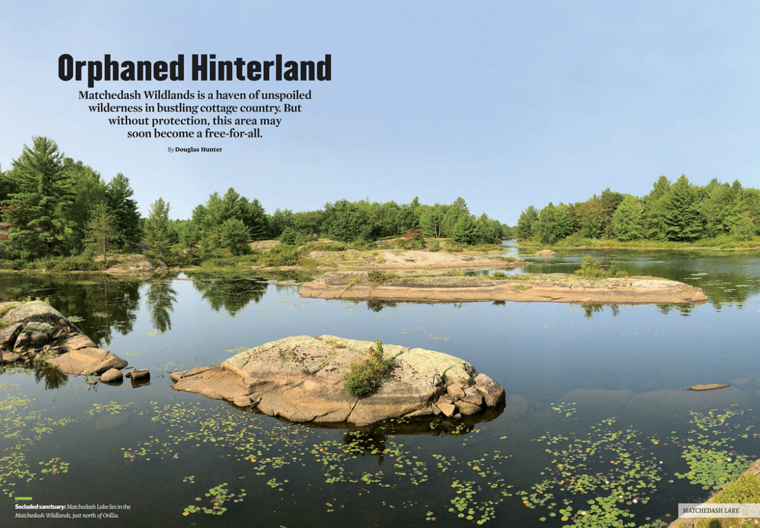 Orphaned Hinterland, ON Nature, Spring 2021, Matchedash Wetlands