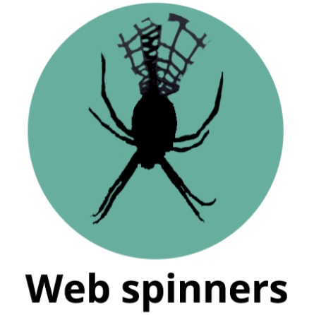 Web spinners title image