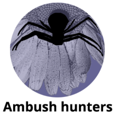 Ambush hunters title image