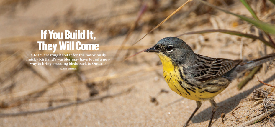 If You Build It They Will Come, Feature, Spring 2023, ON Nature magazine