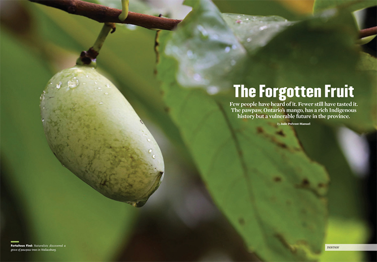 The Forgotten Fruit, Summer 2022, ON Nature, Feature, split row