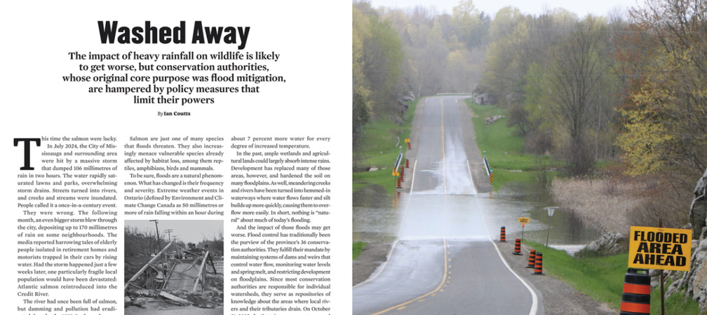 Heavy rainfall results in an overflowing creek flooding over and washing out a road in eastern Ontario along the Cataraqui Region watershed