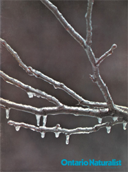 ON December 1972 cover