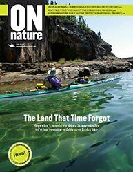 ON Nature Magazine Fall 2019 cover