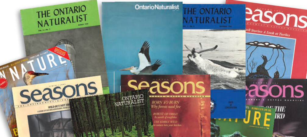 Unearthing ON Nature's Past, Ontario Nature's periodical ON Nature magazine, Spring 2026, Seasons, The Bulletin, The Ontario Naturalist, The Circular, historic, 1930s, 1940s, 1950s, 1960s, 1970s,1980s, 1990s, 2000s, 2010s, 2020s